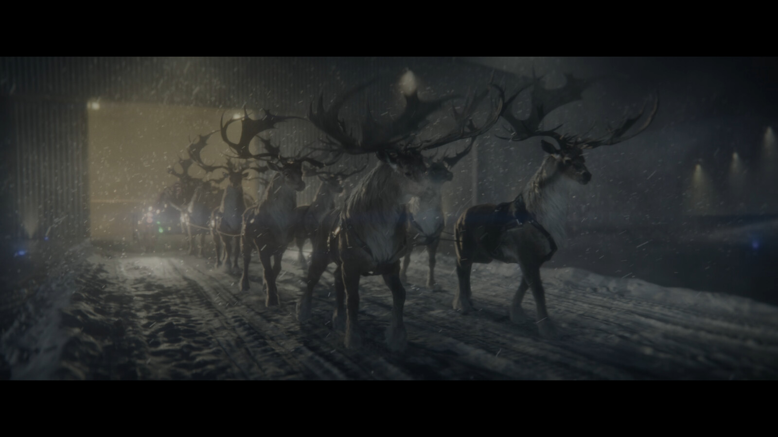 Deer path and part of R&amp;D set dressing and scattering for the aiport