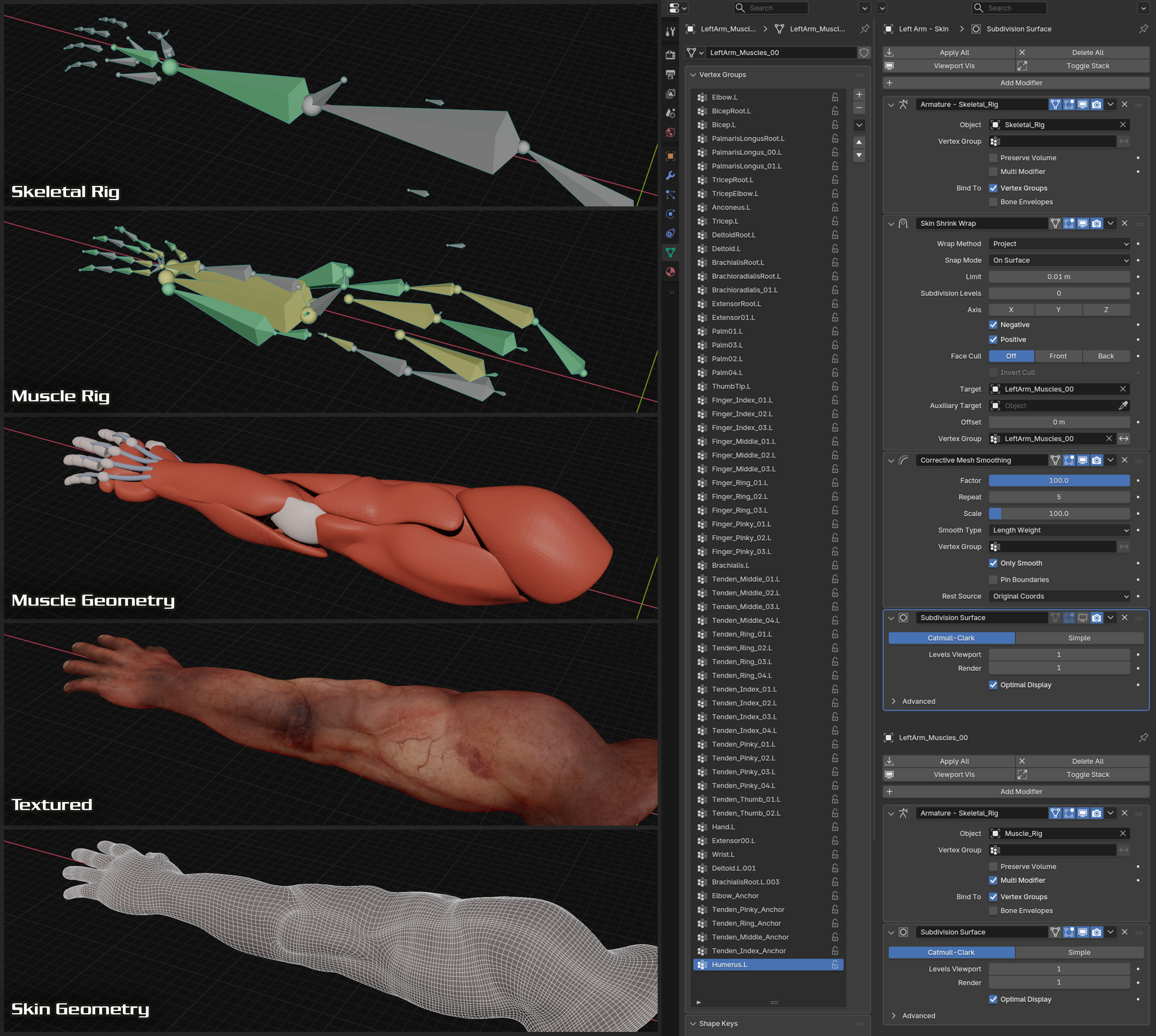 Skin and Muscle Modifiers