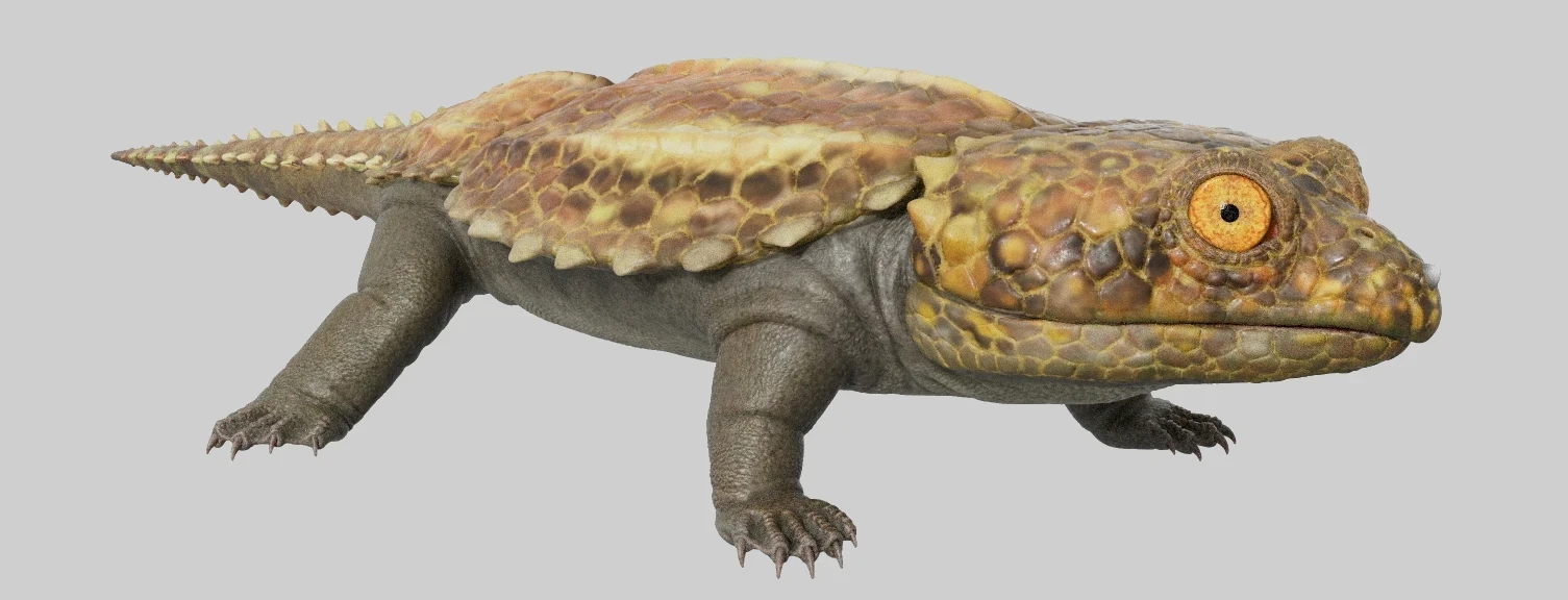 First pass textures - Substance painter