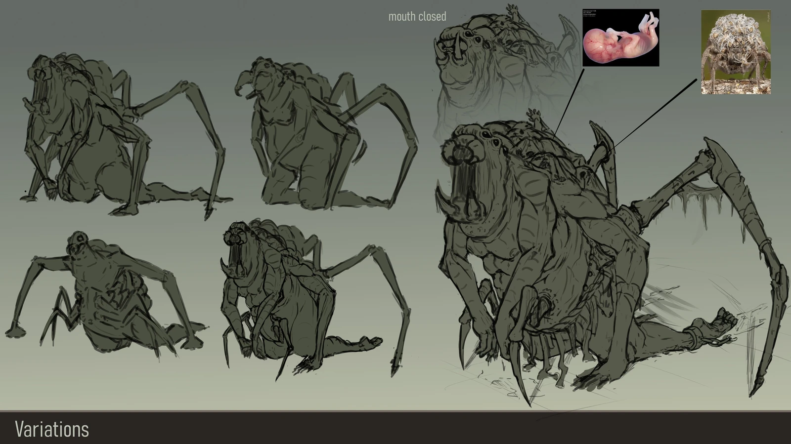variations