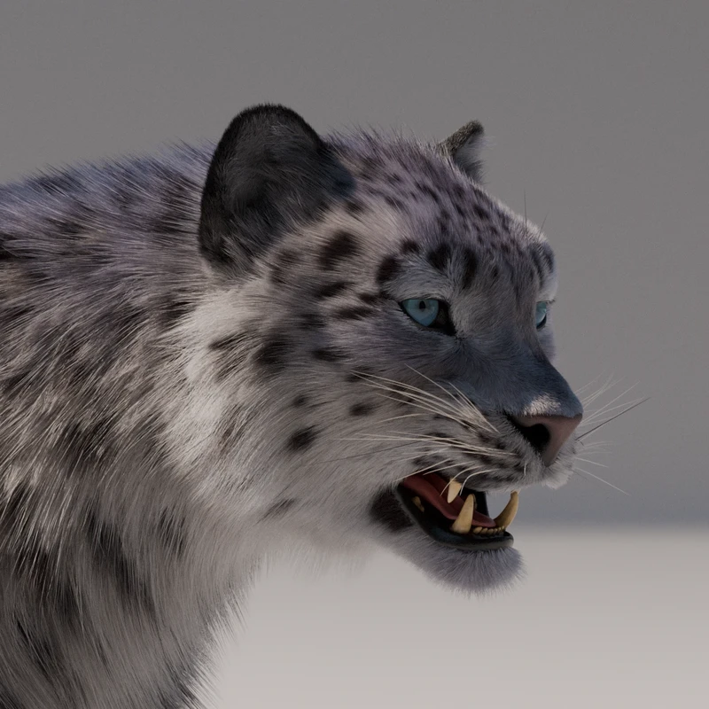 Snowleopard