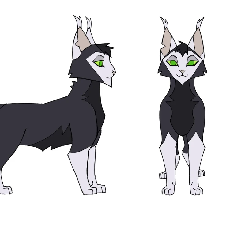 [WCA Application] [ OC] Hushvoice Character Sheet