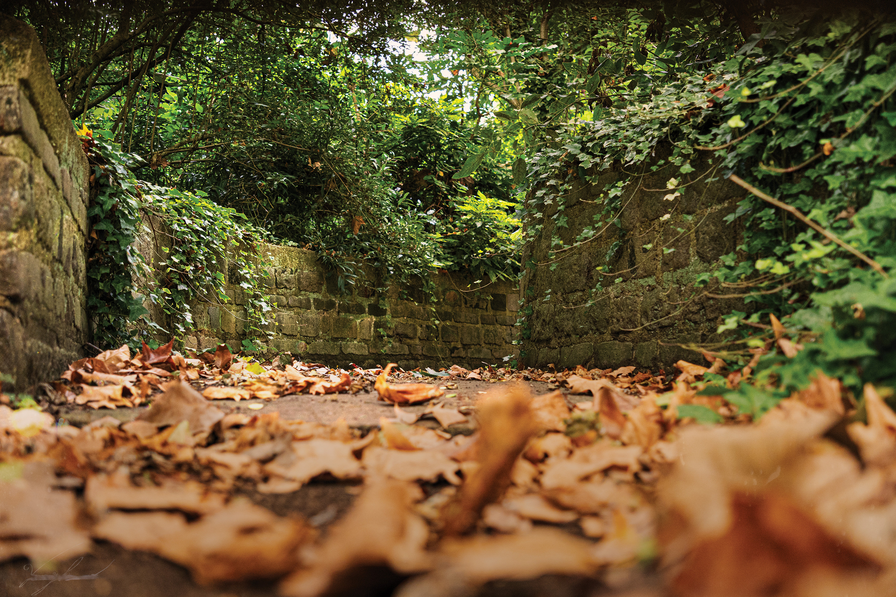 "Autumn Footsteps", London