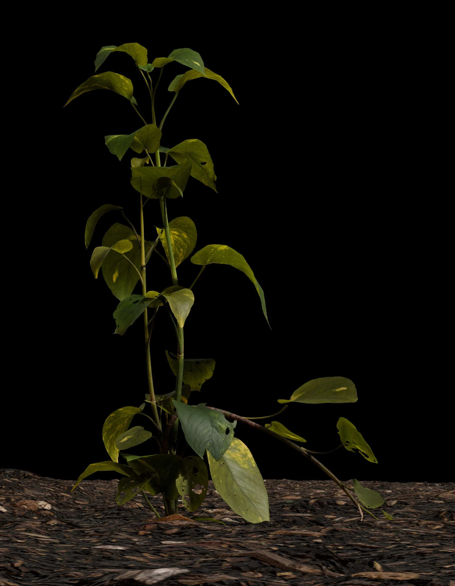 Responsible for all aspects.