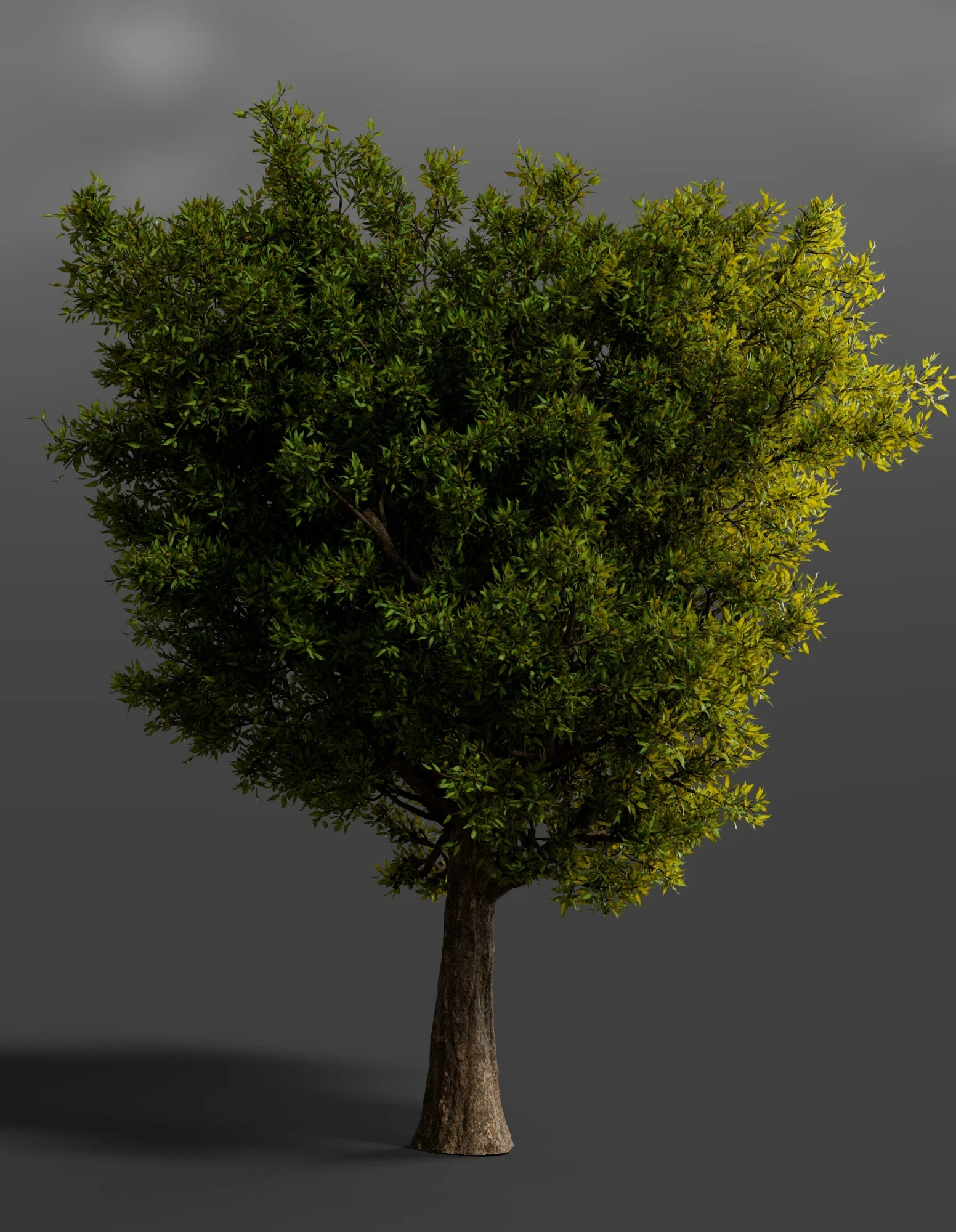 Responsible for all aspects.