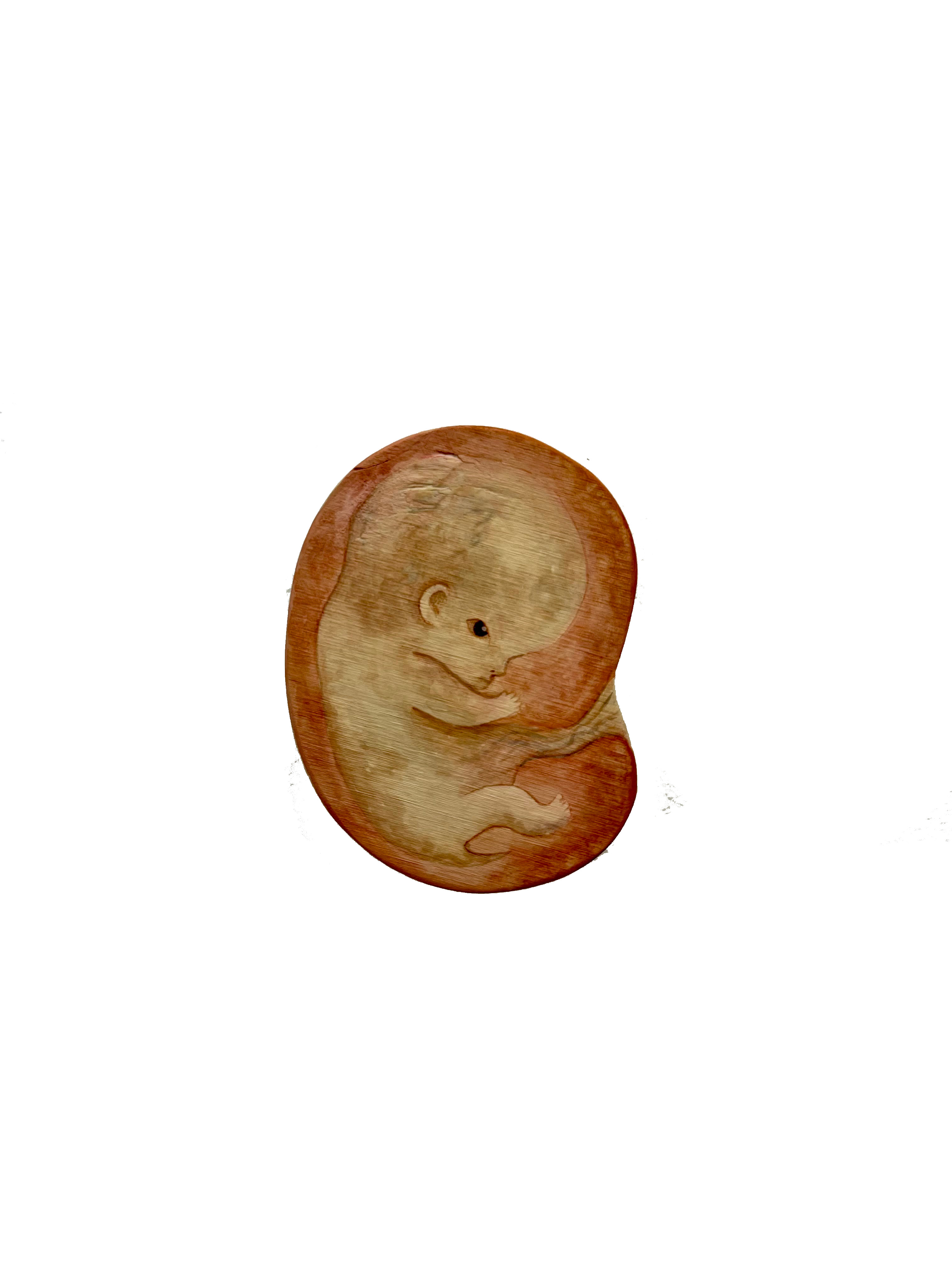 5 1/2 x 7 1/2 inches
Acrylic on plywood