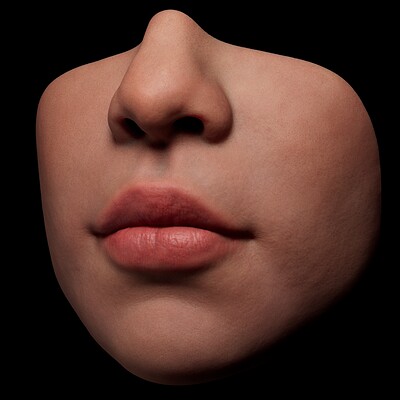 Lower face - study