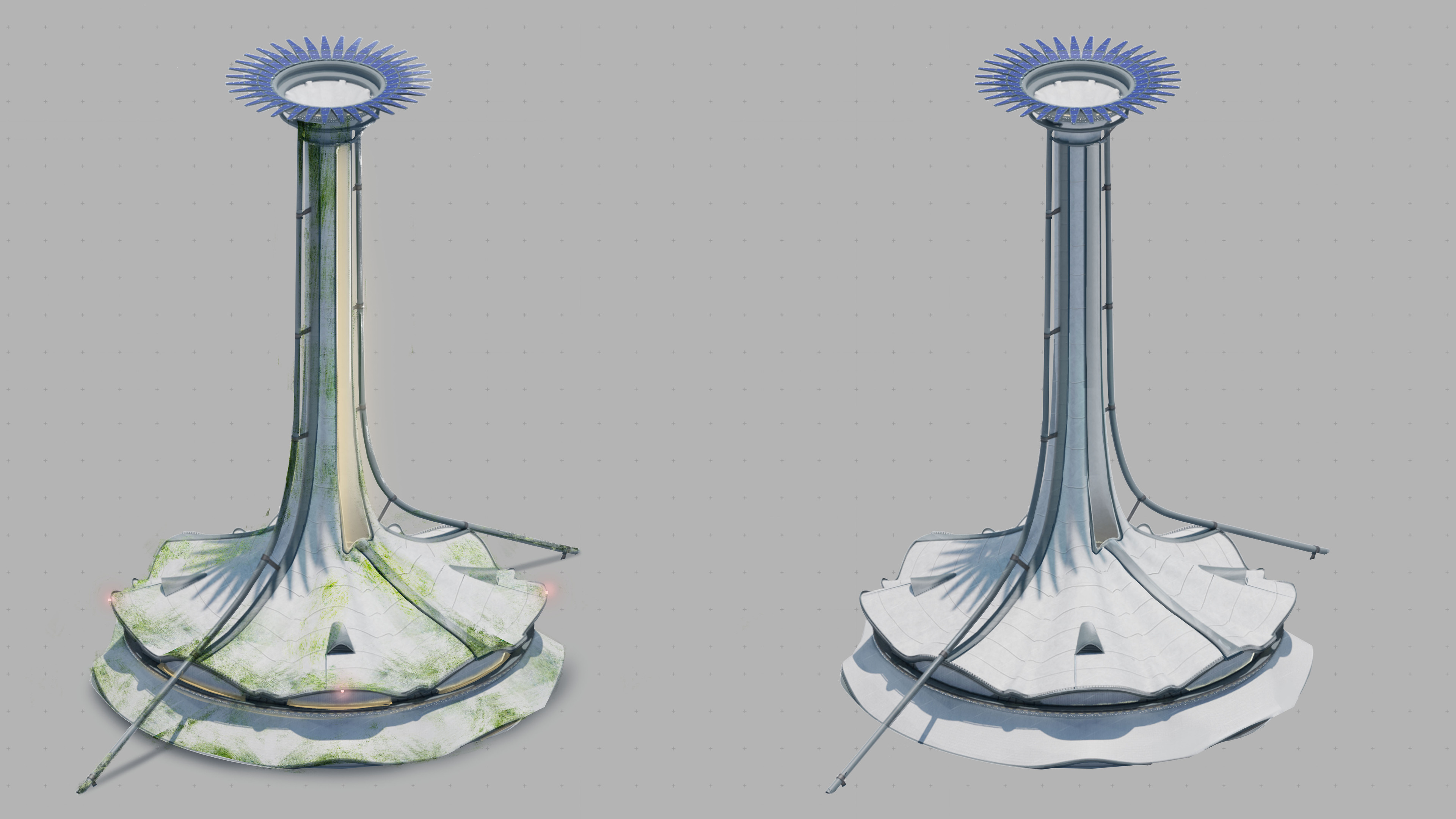Algae growth 