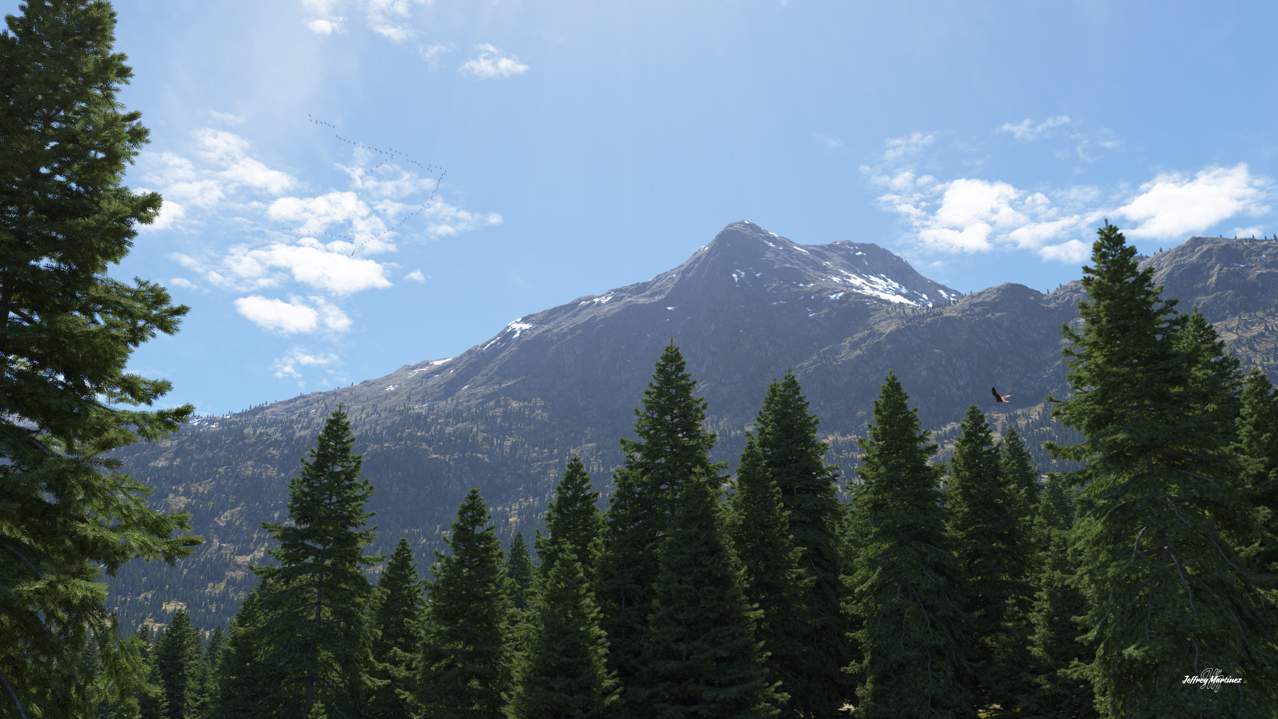 Alligator Rock
20260308TG