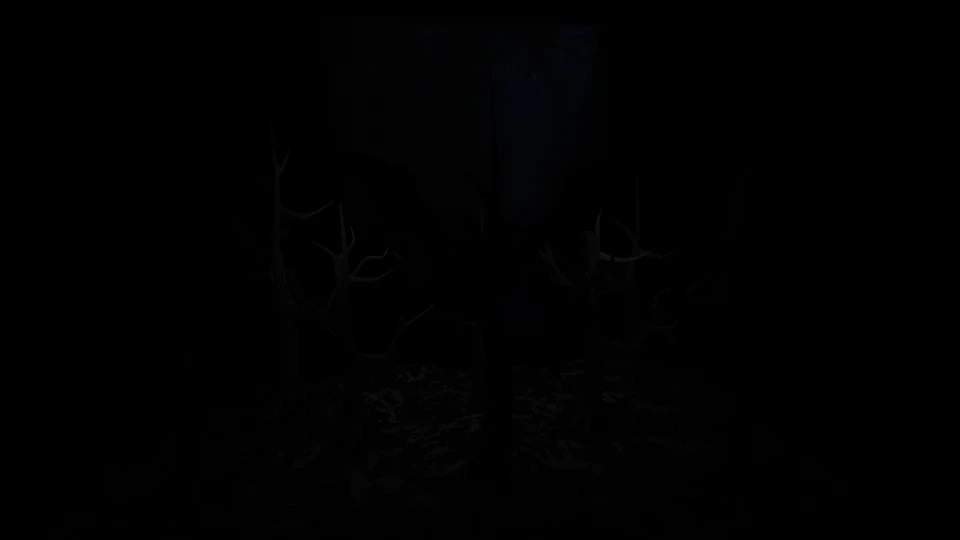 RGBA_Black (AOV)