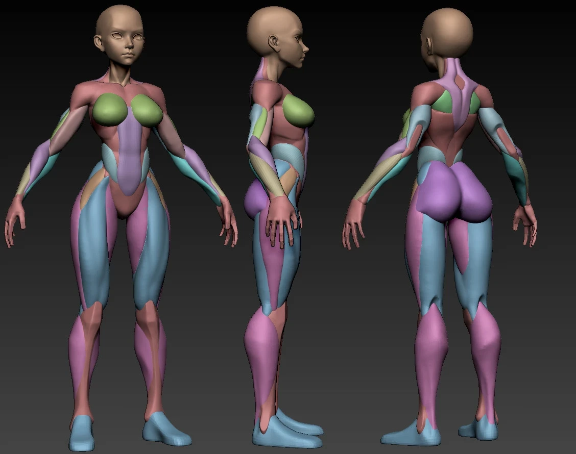 Stylized Anatomy Blockout: Focusing on bold shapes and readable silhouettes.

