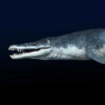 Liopleurodon ferox