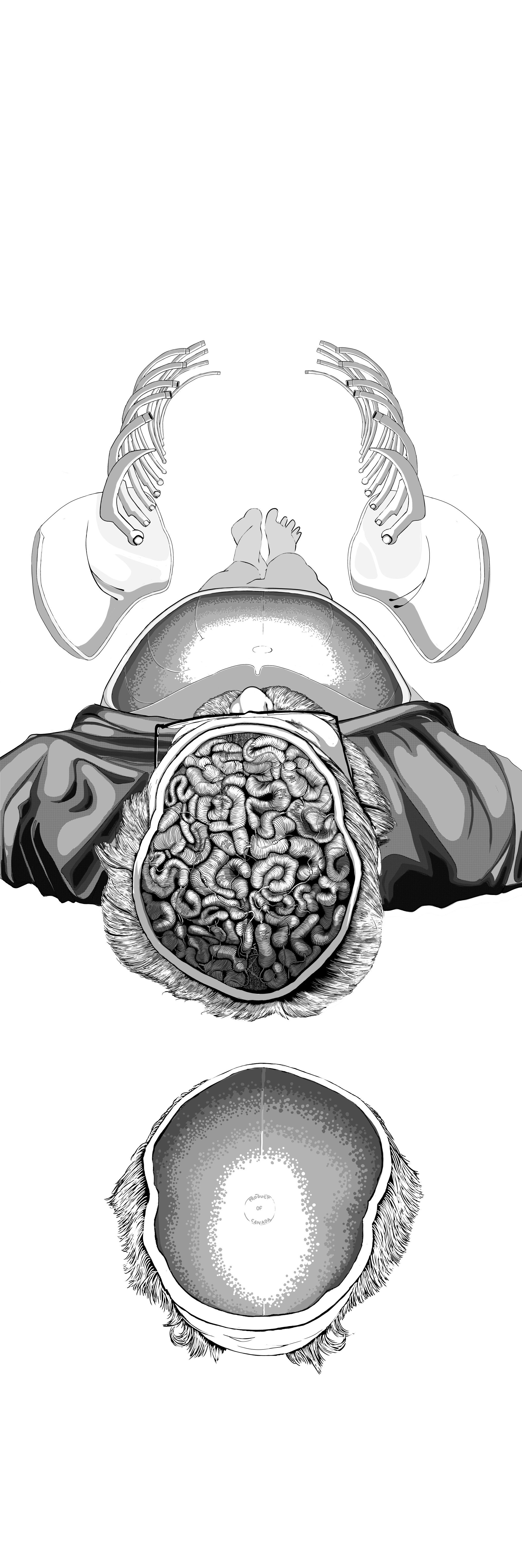 This illustration is of a figure laying on its back in a white void. The figure is displayed head first . Its chest is open with two floating plates one to the right and one to the left which reveals an empty cavity. The cavity is shaded in a grey gradien