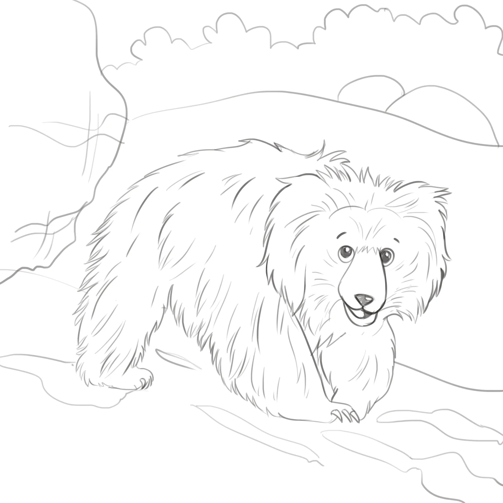 Sloth bear sketch