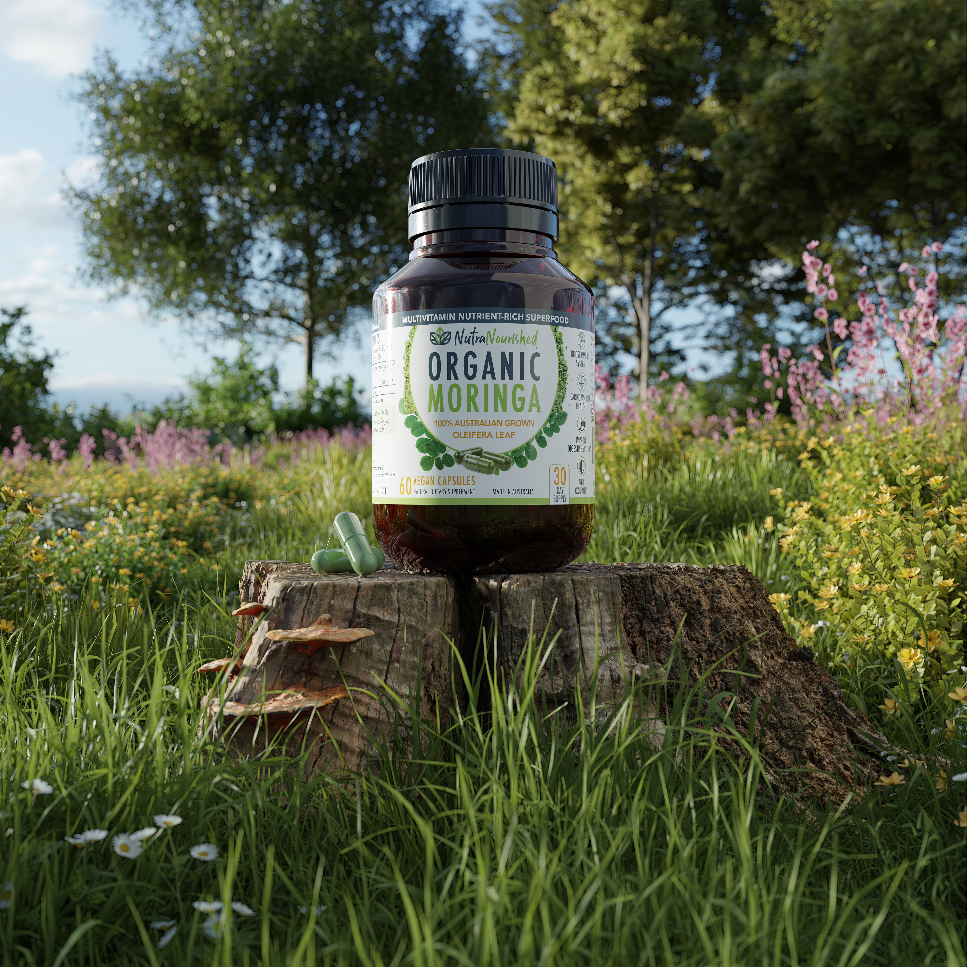 Promotional Render - Version 02