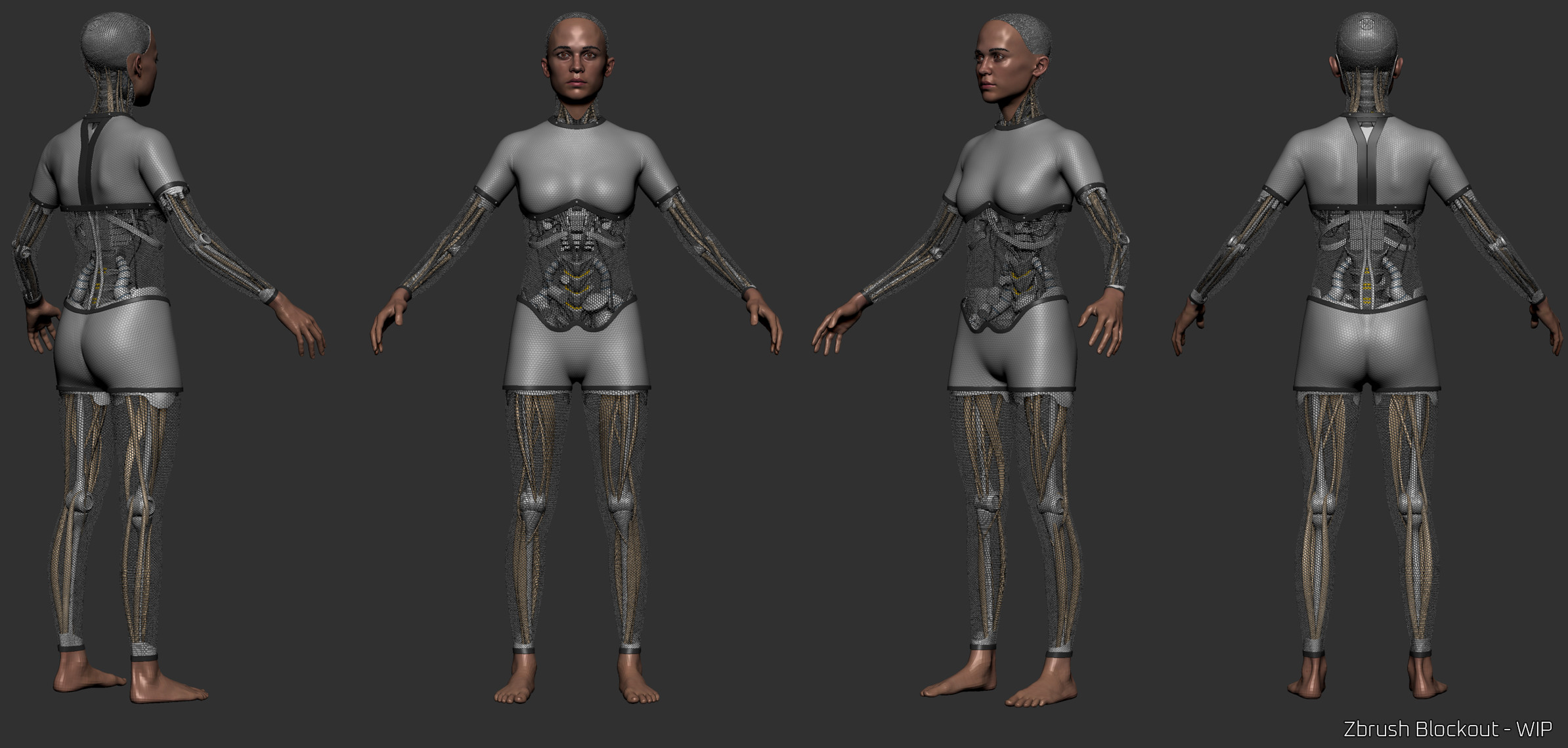 Zbrush Body Blockout