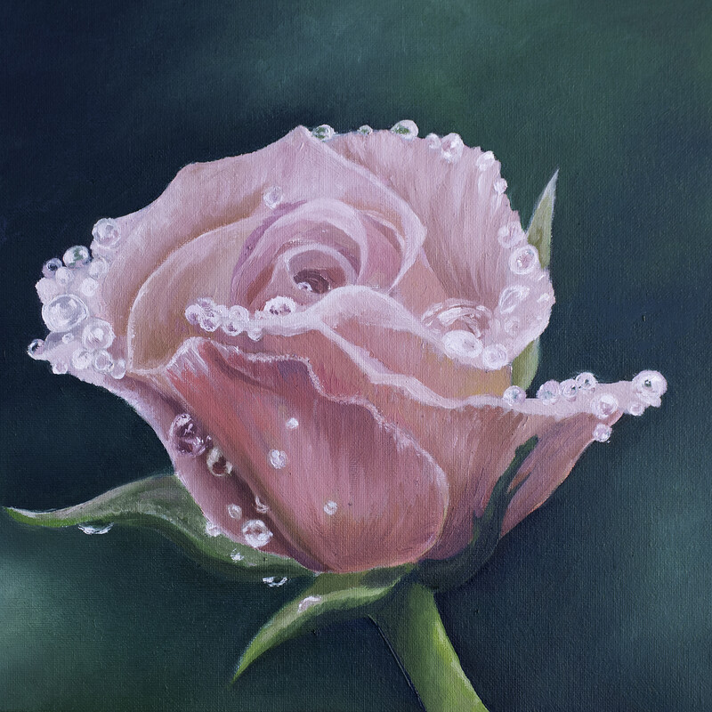 After the Rain - Original 12" x 16" Oil Painting of a Rose