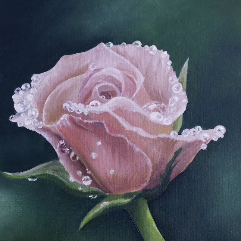 After the Rain - Original 12" x 16" Oil Painting of a Rose