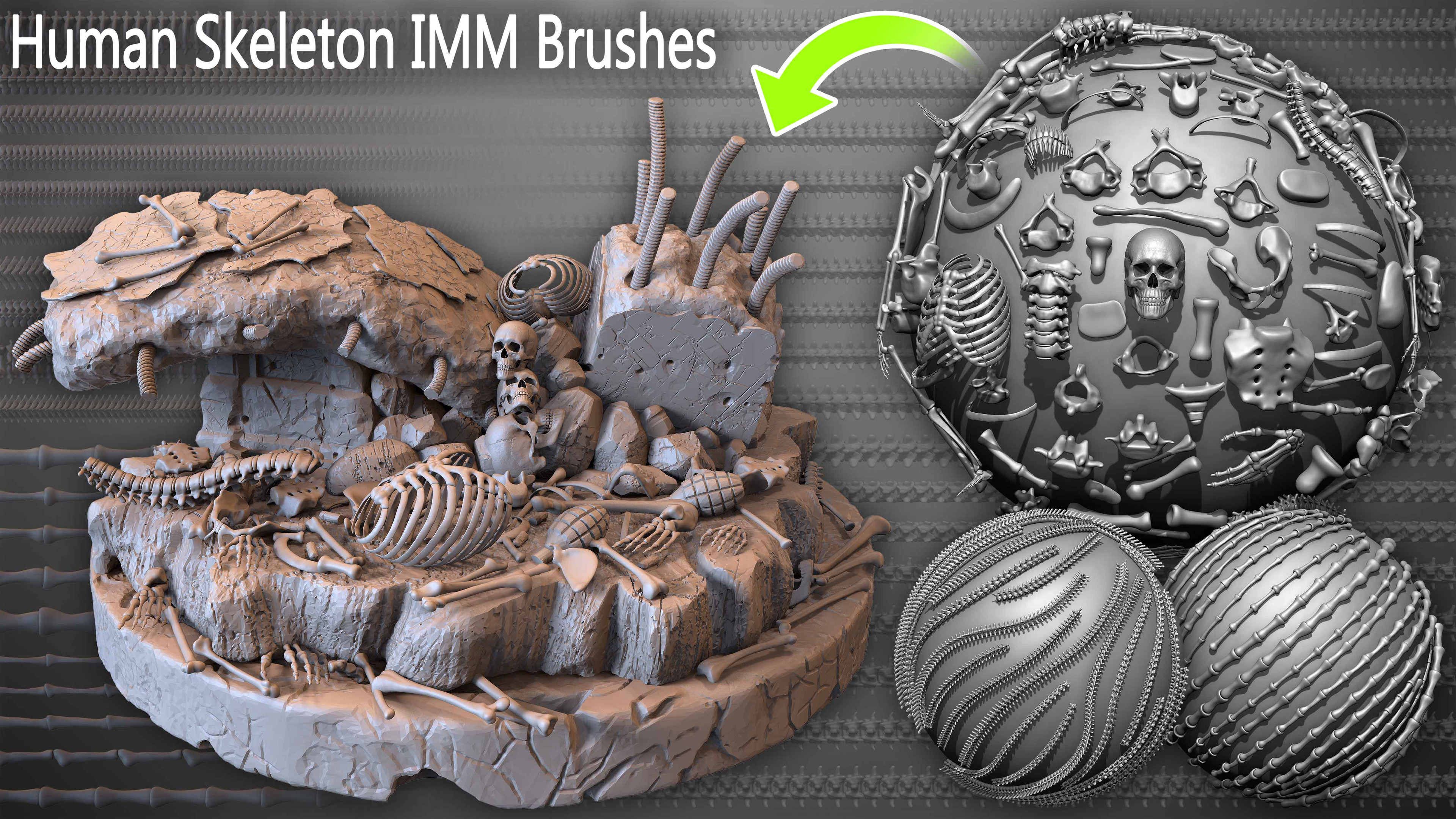Human Skeleton IMM Brushes Set 01