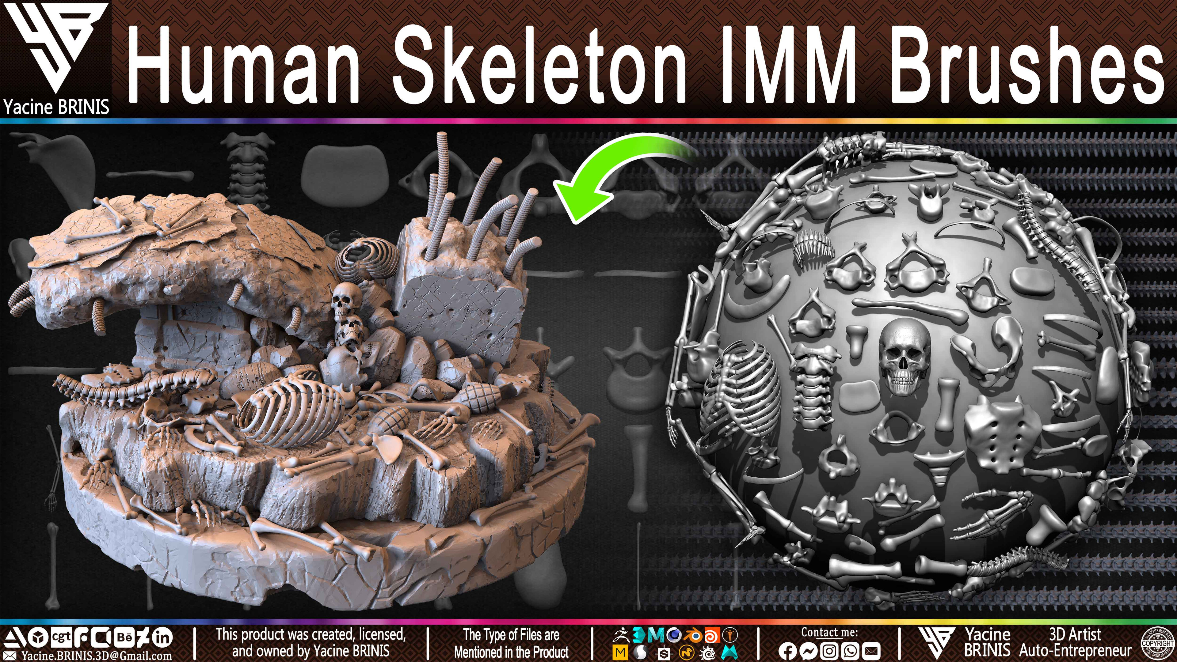 Human Skeleton IMM Brushes Set 02