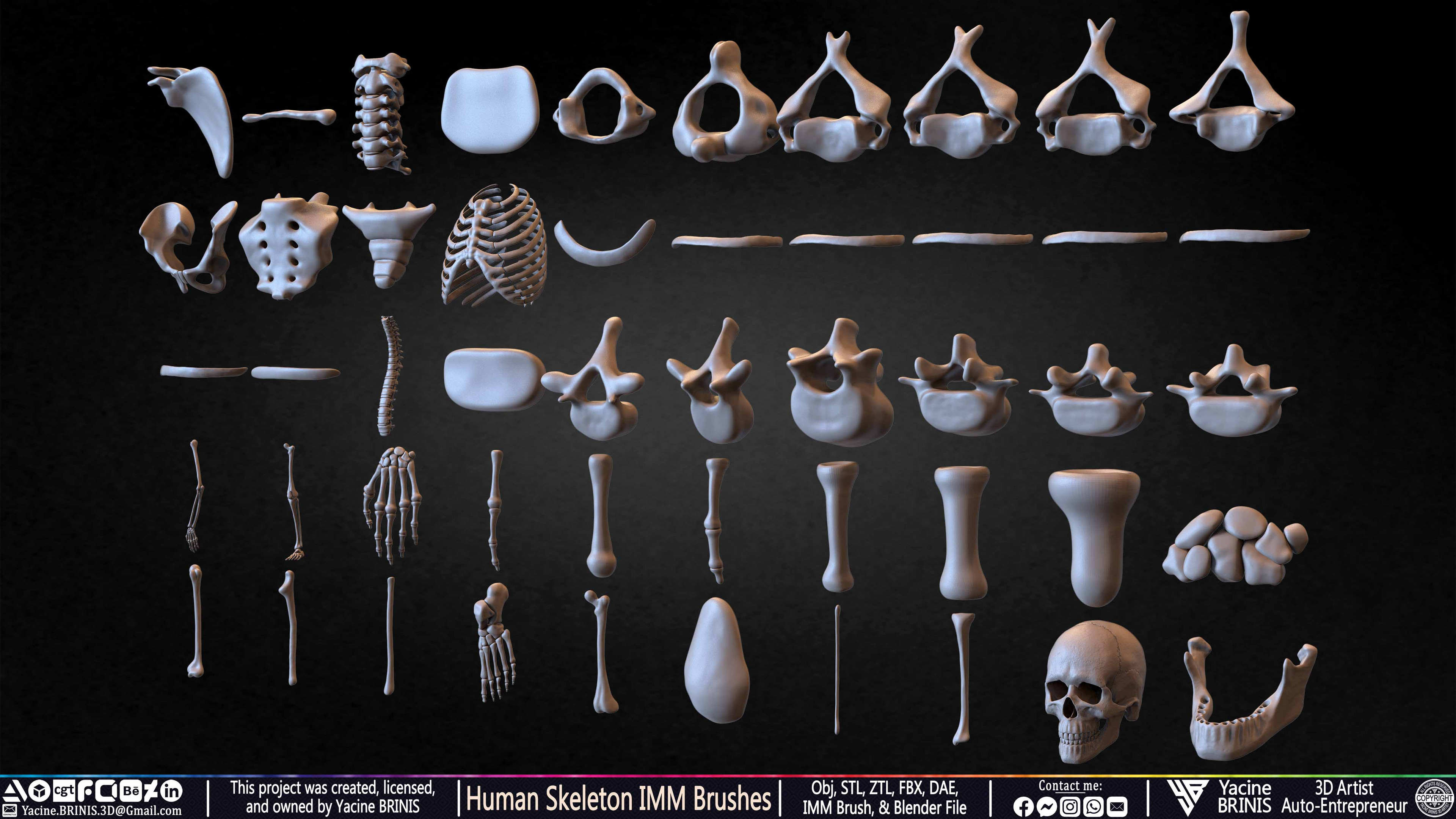 Human Skeleton IMM Brushes Set 05