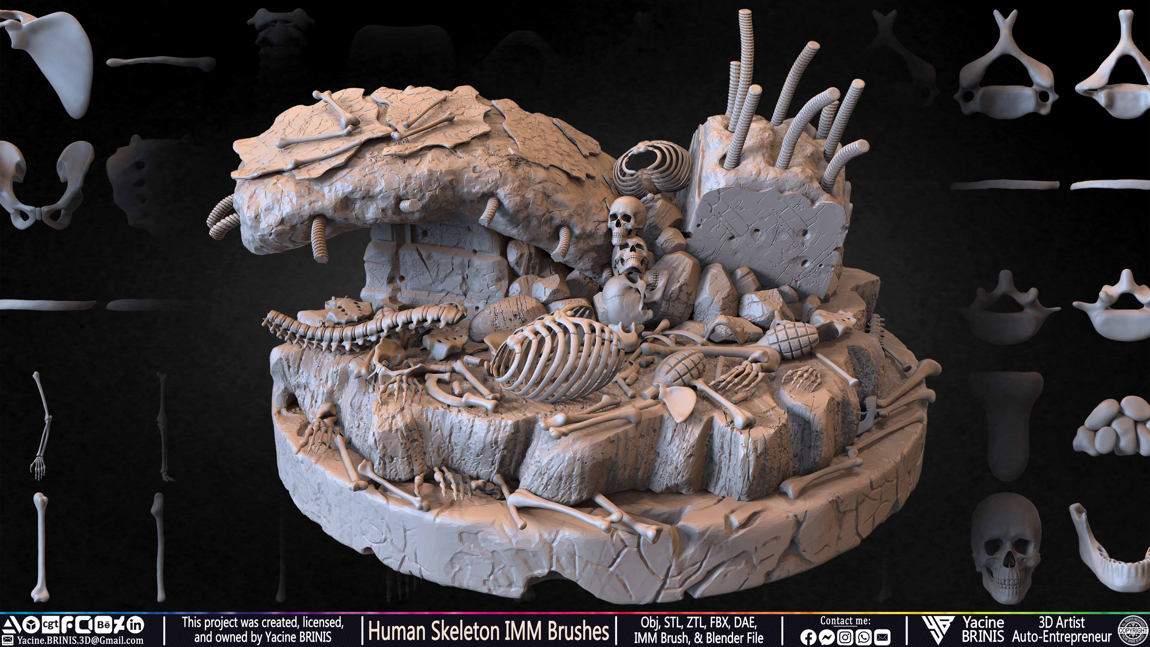 Human Skeleton IMM Brushes Set 06