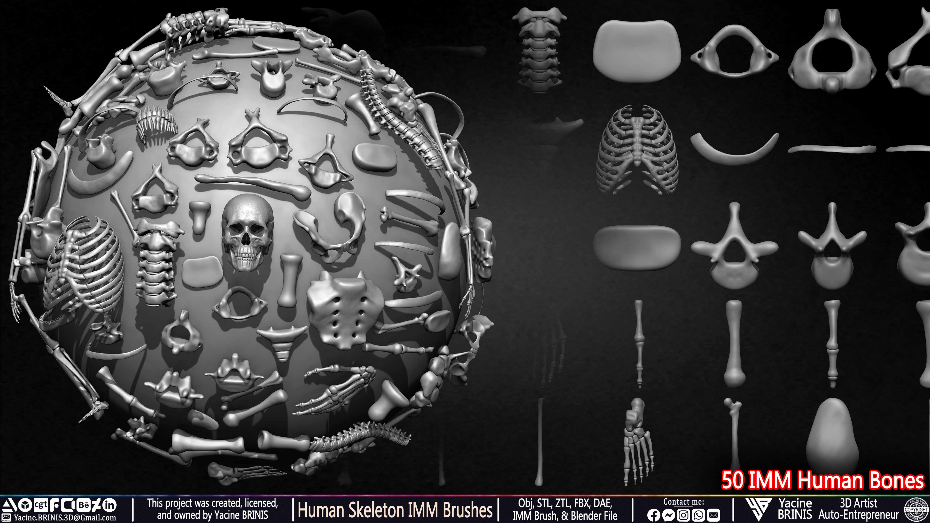 Human Skeleton IMM Brushes Set 07
