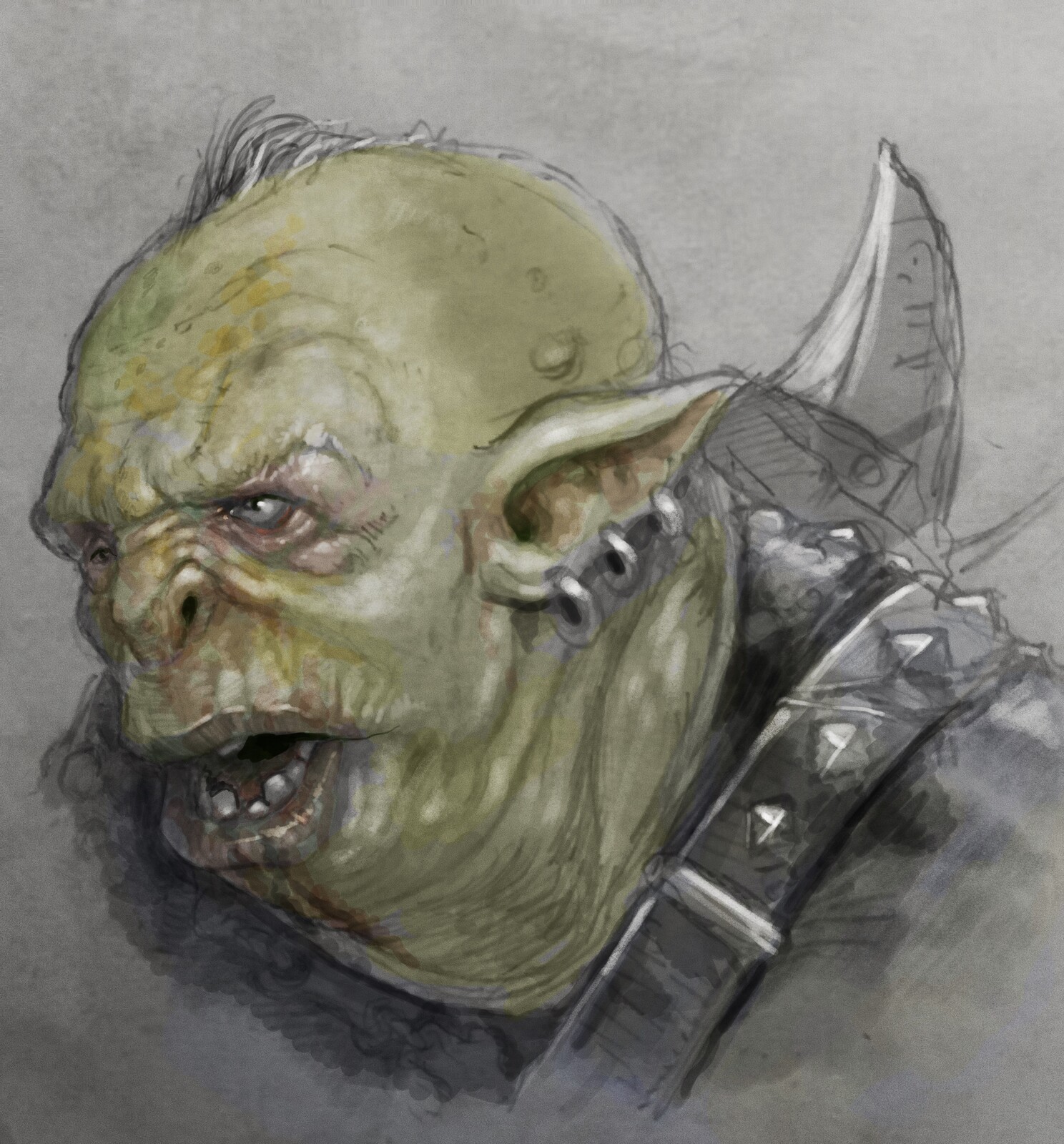 orc #  63345