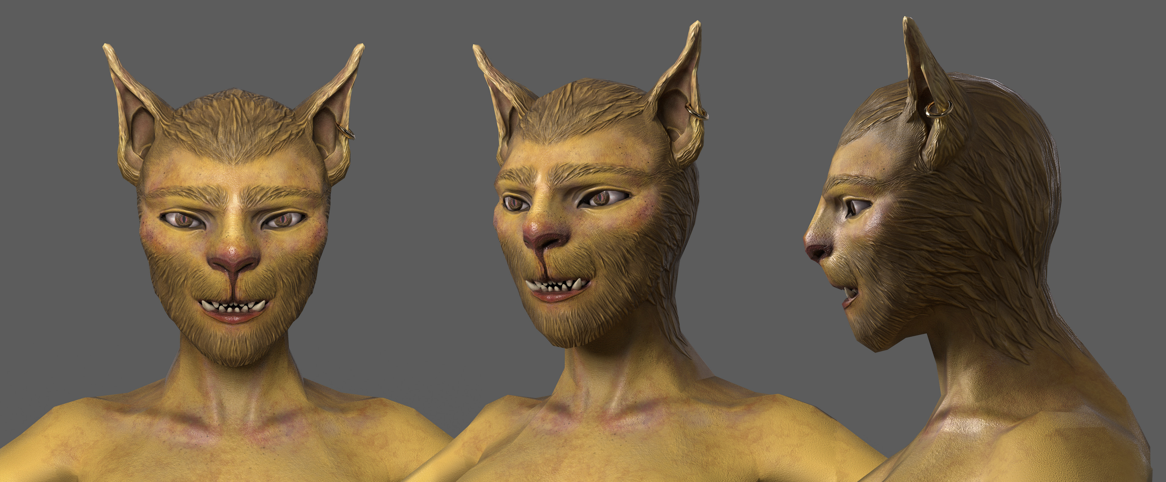  
High and low poly models: