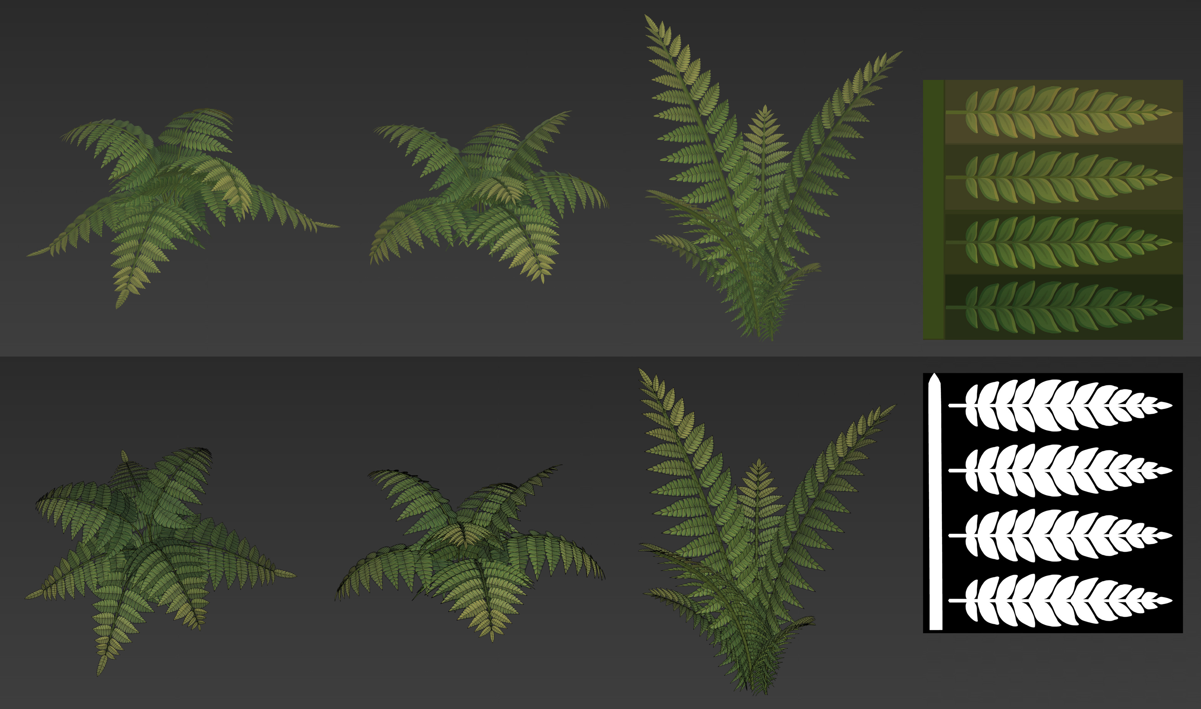 Fern variations with simple texture