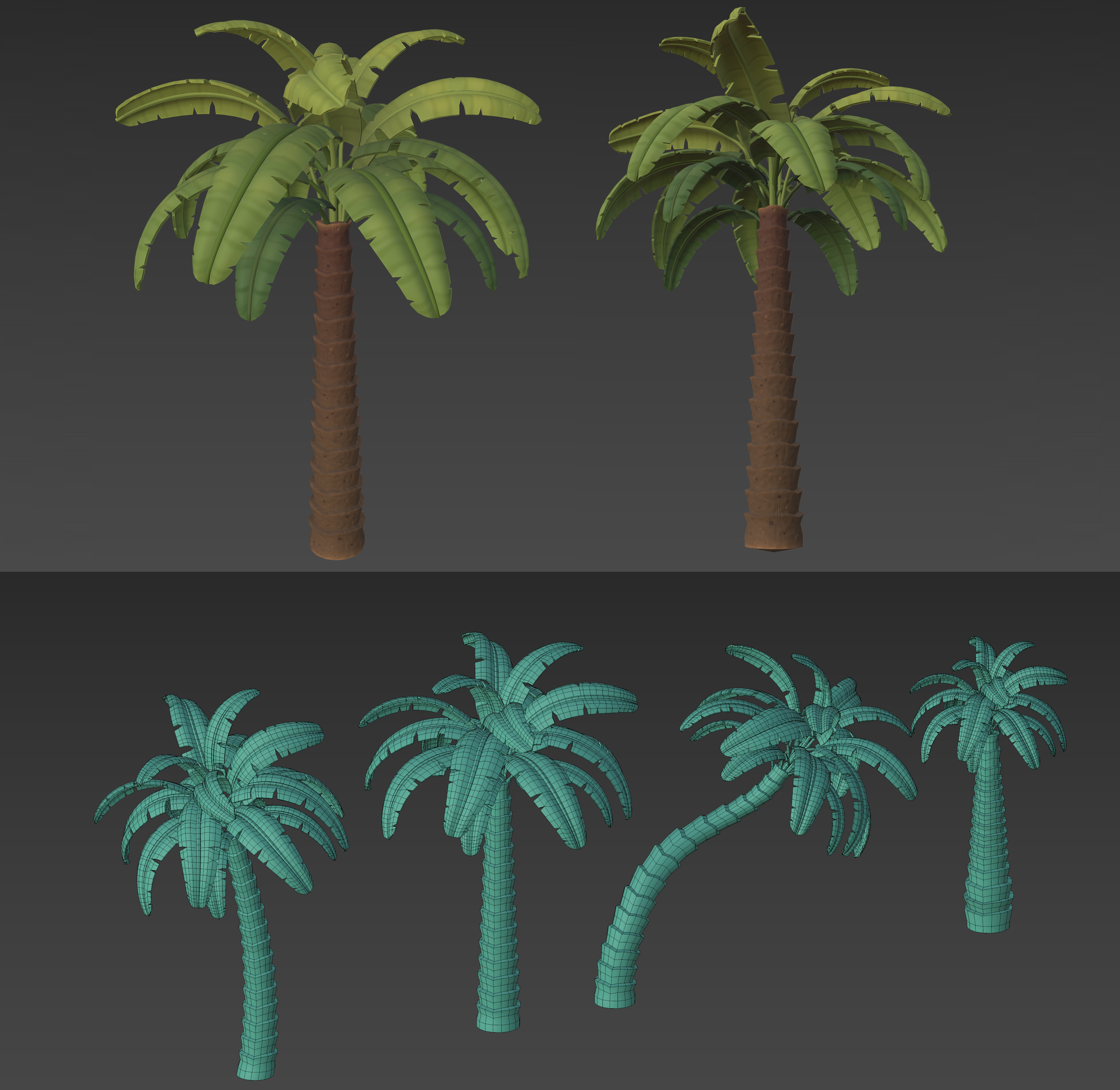 Palm tree model variations