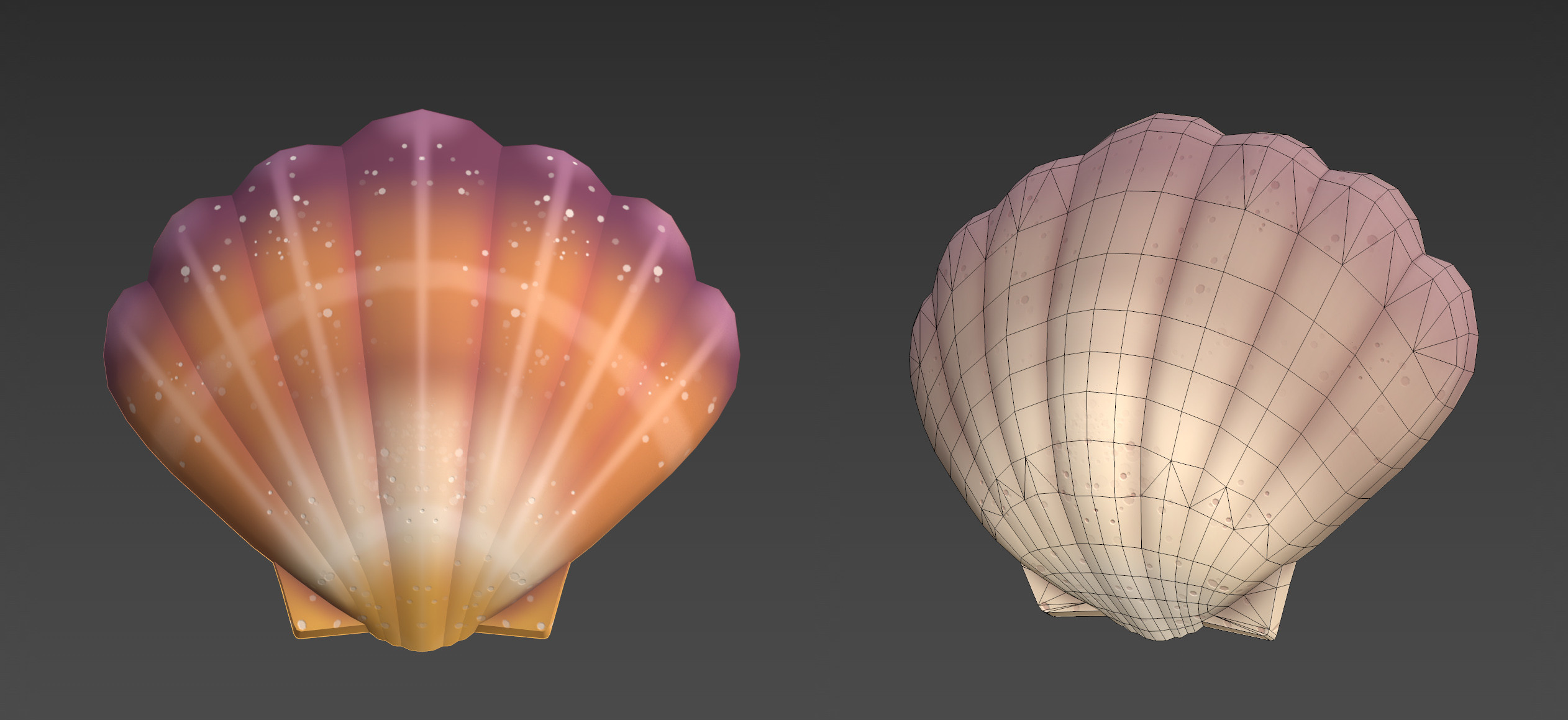 Scallop shell variations