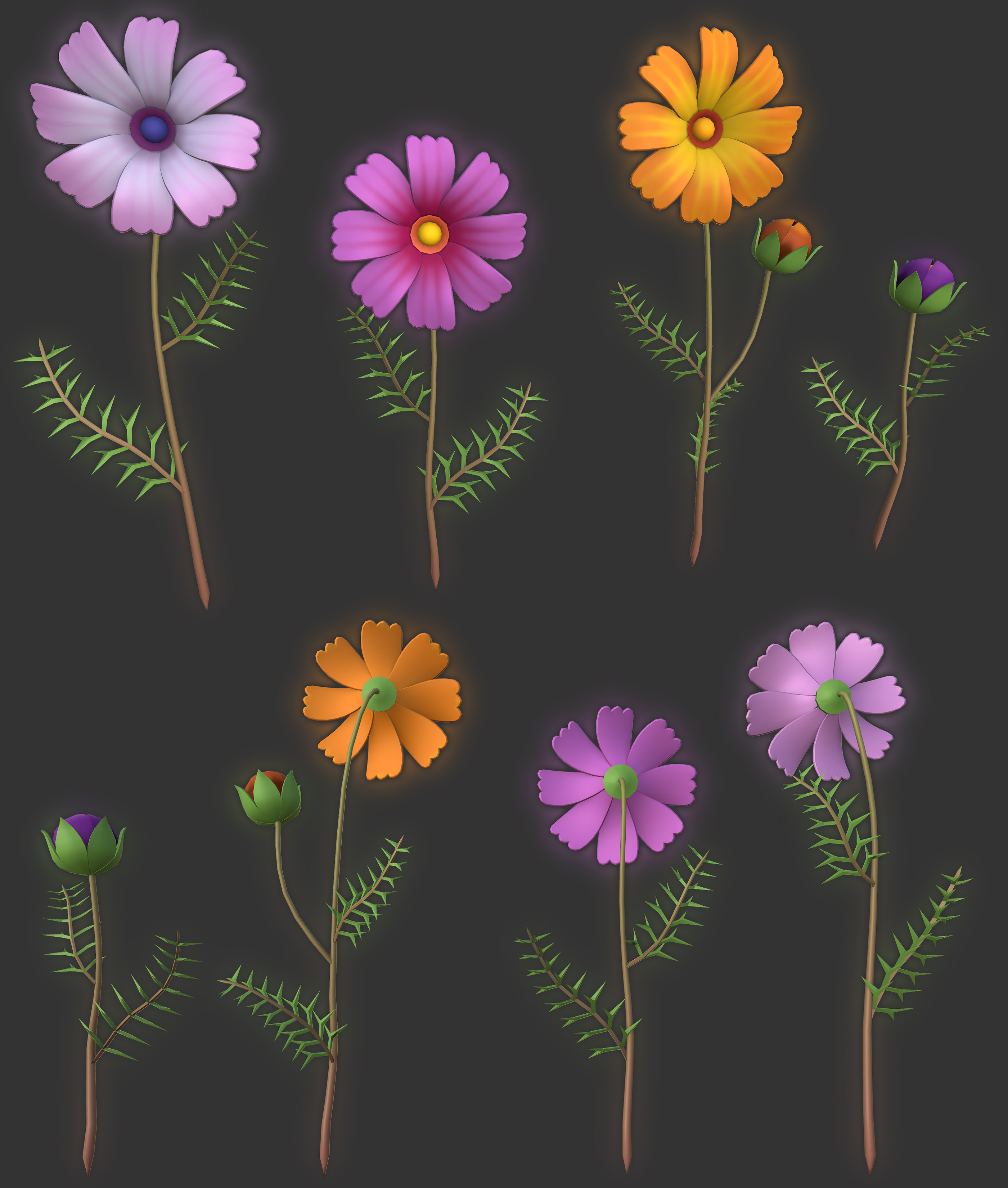 Cosmos flowers