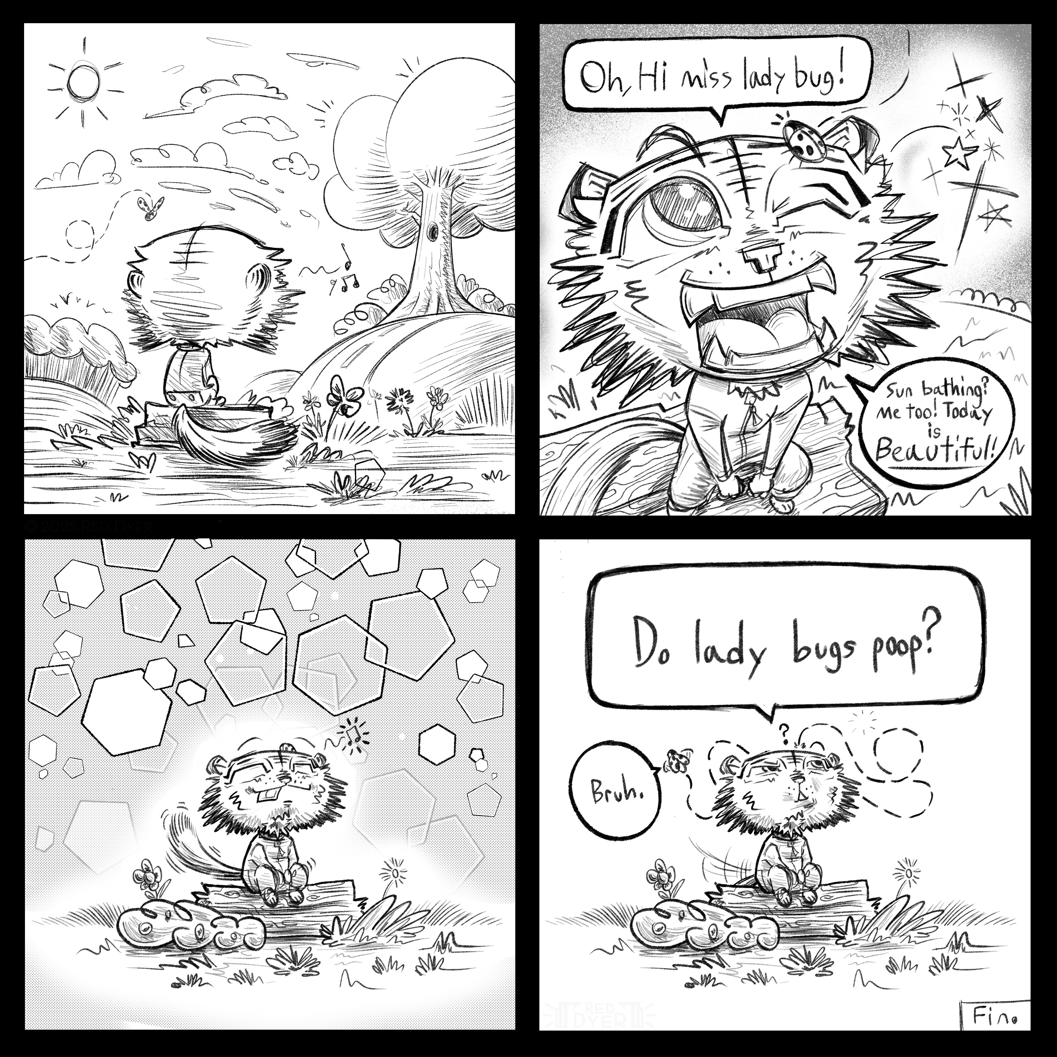 lil tiger boi!