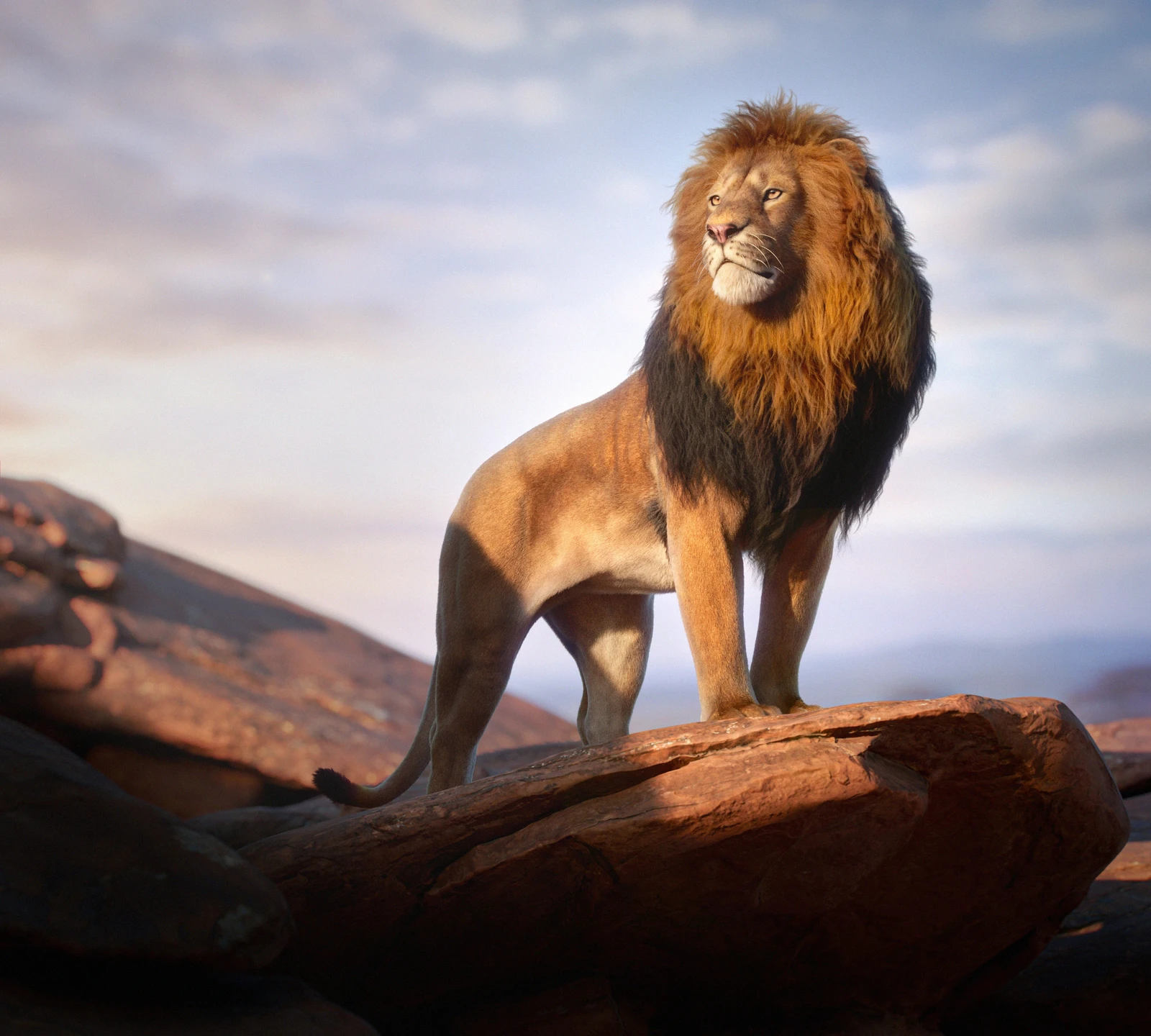 Lion