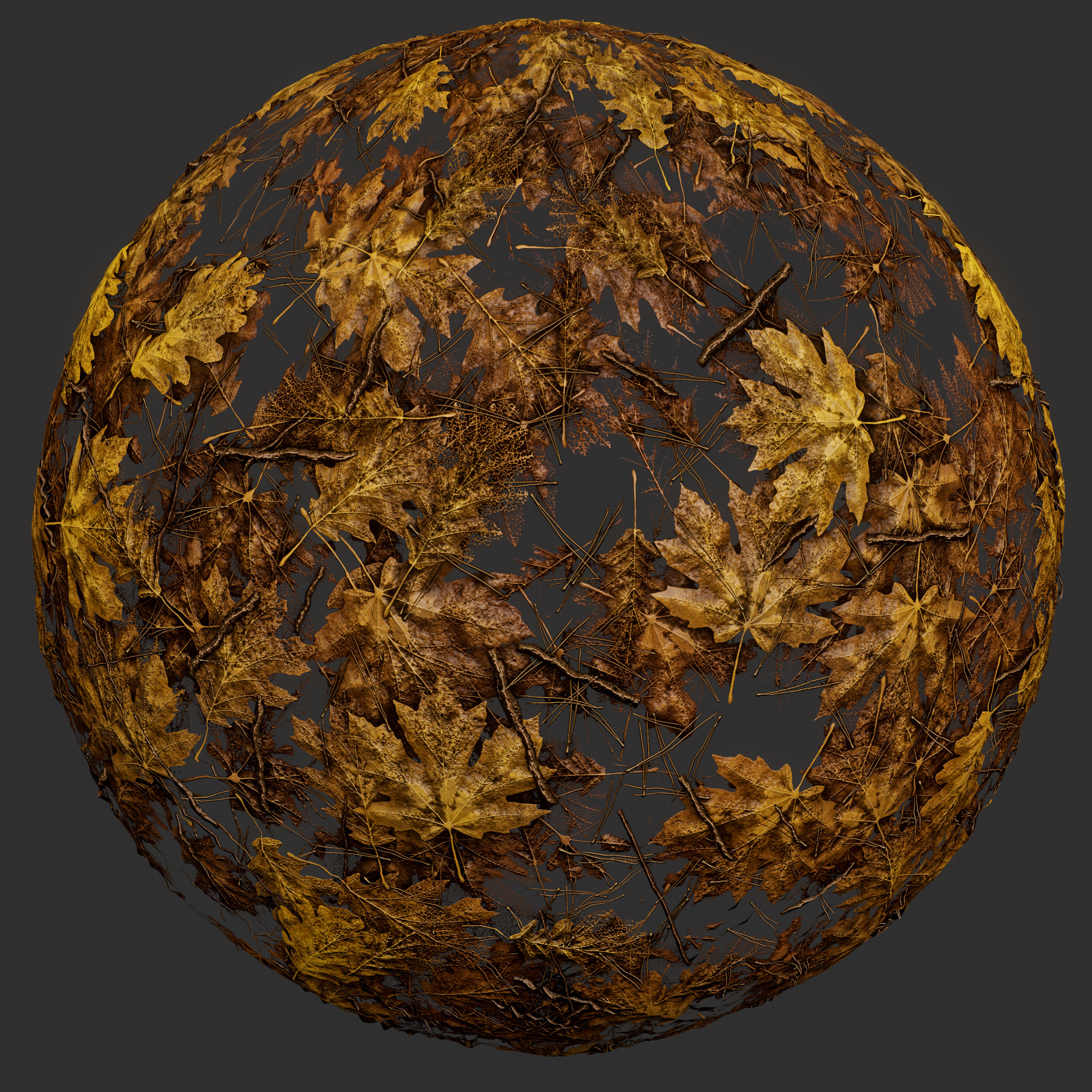 Fallen Leaves 