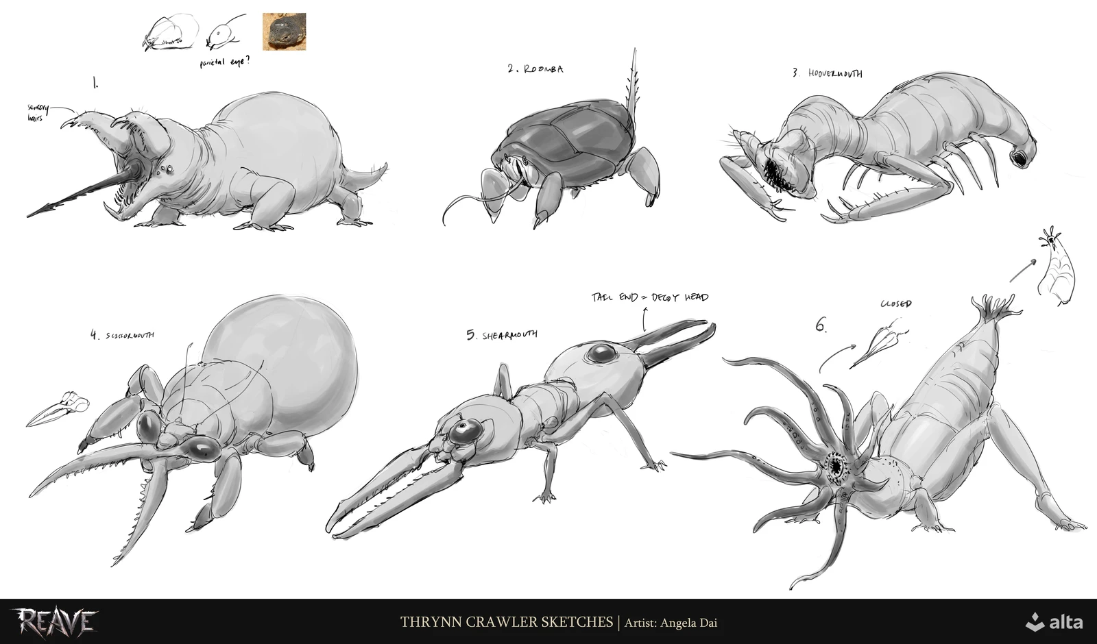 very early exploration