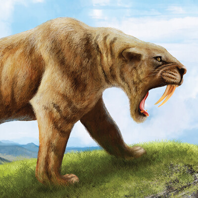 Saber Tooth