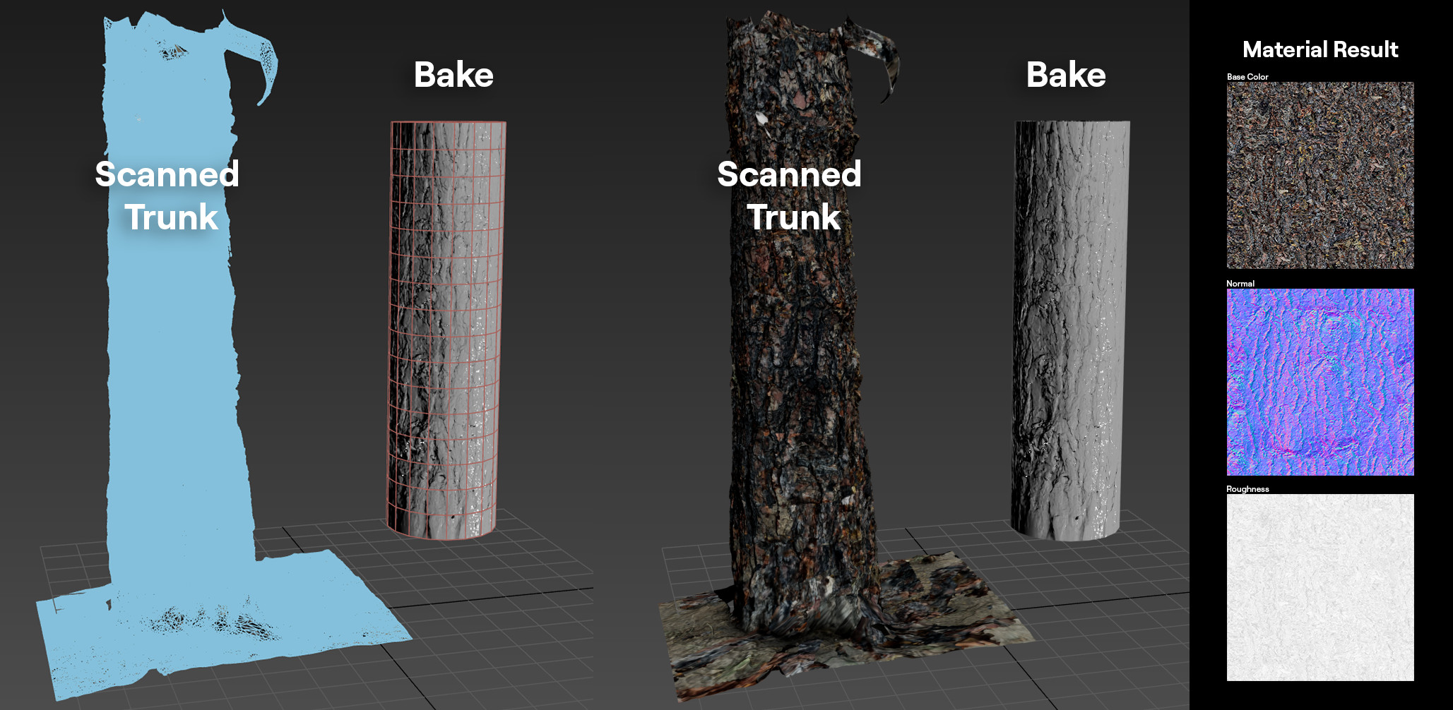 Photogrammetry bark material bake