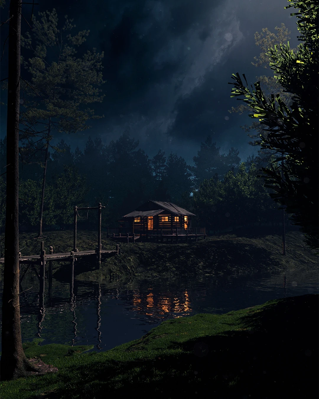 Under The Night Sky