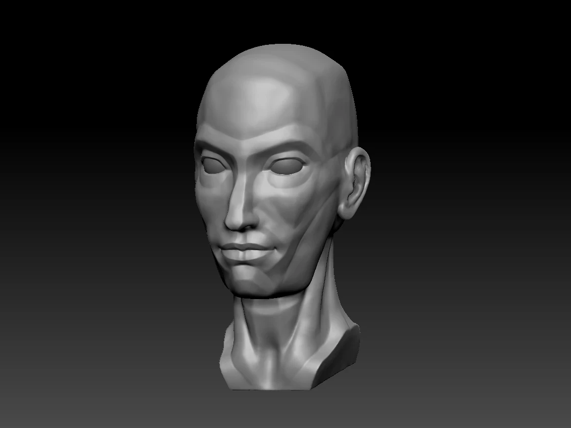 Anatomical Study