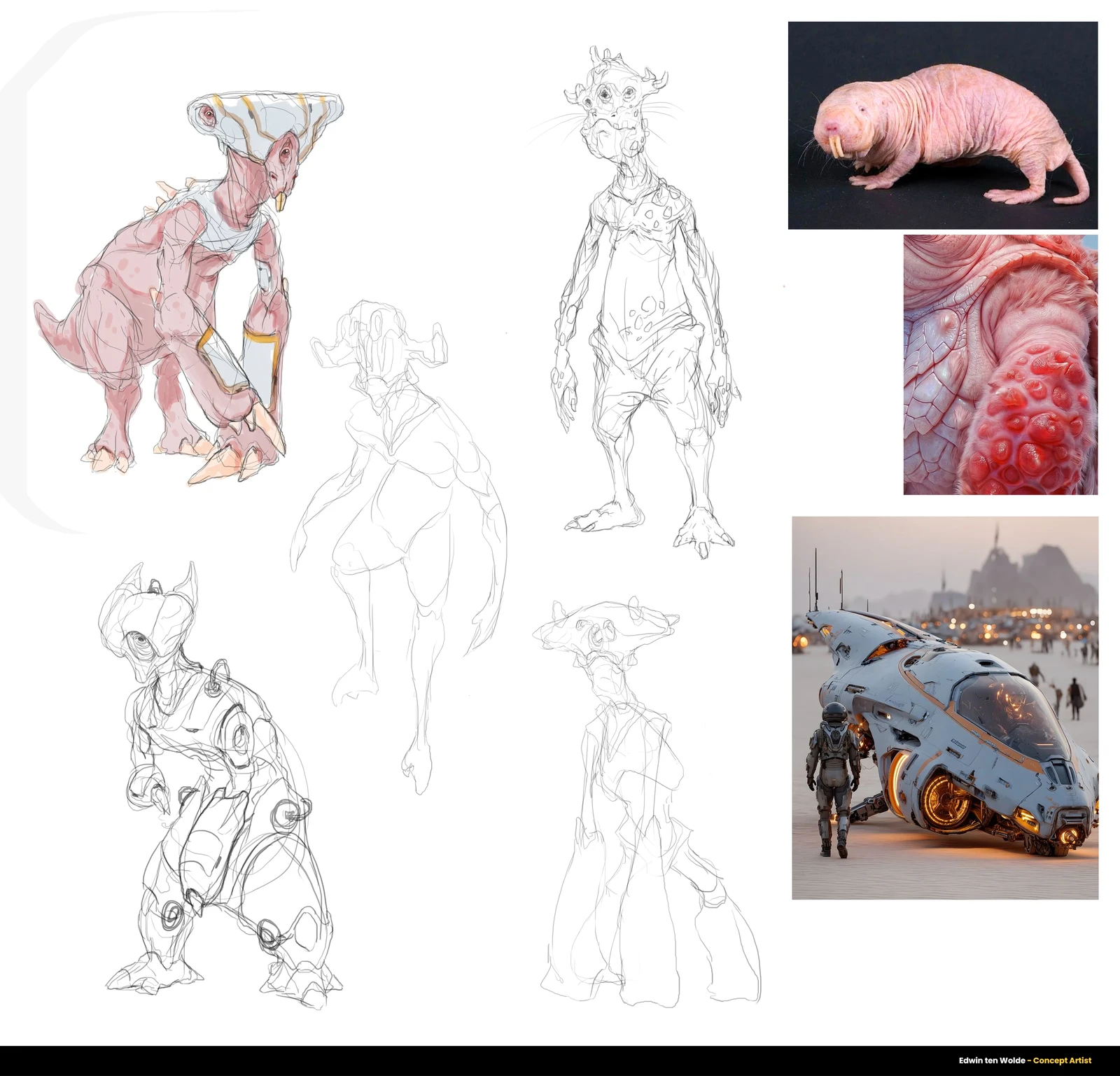 sketches + reference images (right)