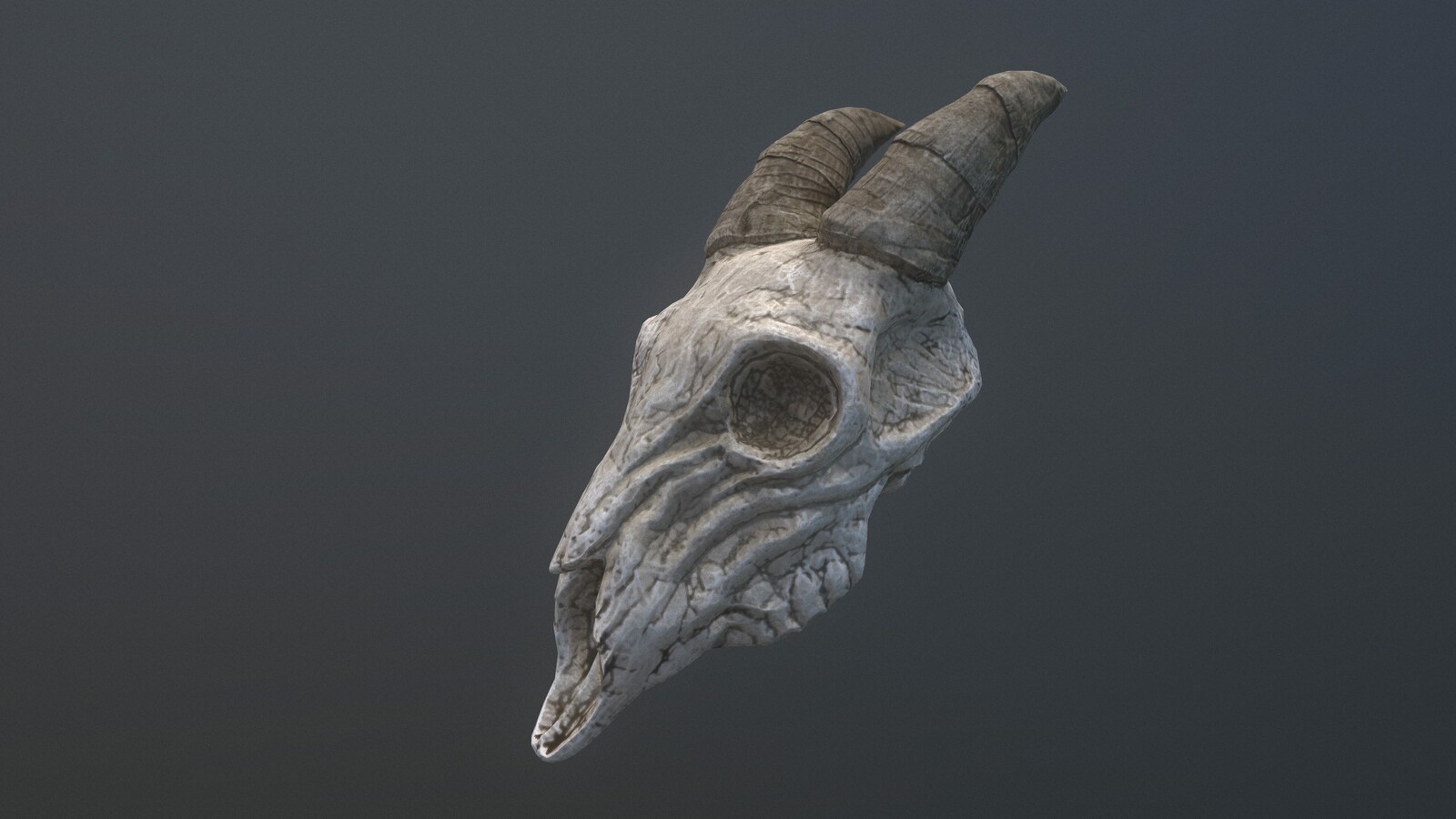 Another Skull