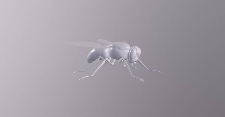 ArtStation - Fly Model