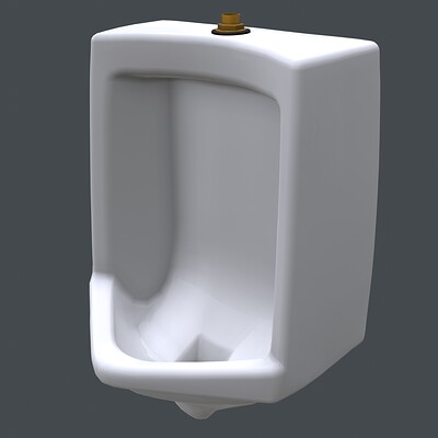 White Wall Mounted Urinal