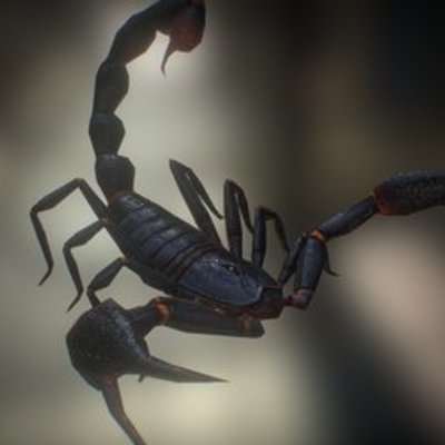 Scorpion 03, Emperor