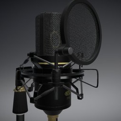MXL 770 condenser microphone