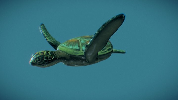 ArtStation - Green Sea Turtle