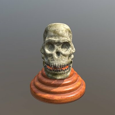 Ape's skull 