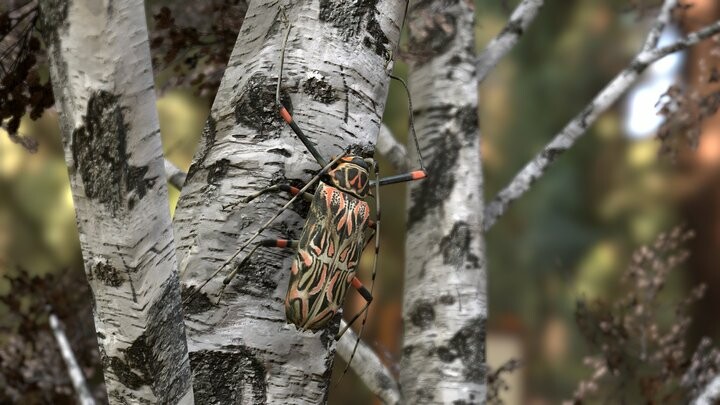 ArtStation - Three beetles in this tree